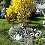 בית הארחה & Stare