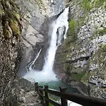 & Stare בית הארחה בוהין