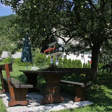 Gasthuis & Stare Bohinj
