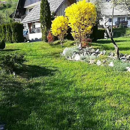 & Stare Pensionat Bohinj