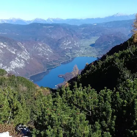 게스트하우스 & Stare