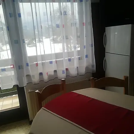 & Stare 게스트하우스 보히니