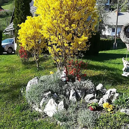 Affittacamere & Stare