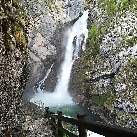 & Stare Penzion Bohinj