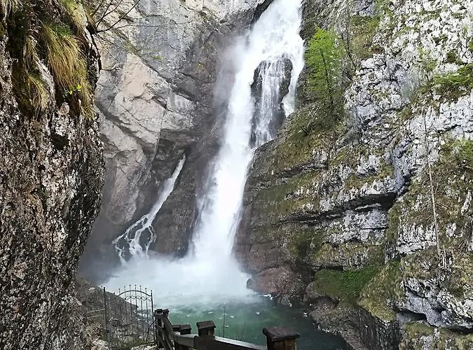 & Stare Vendégház Bohinji-tó